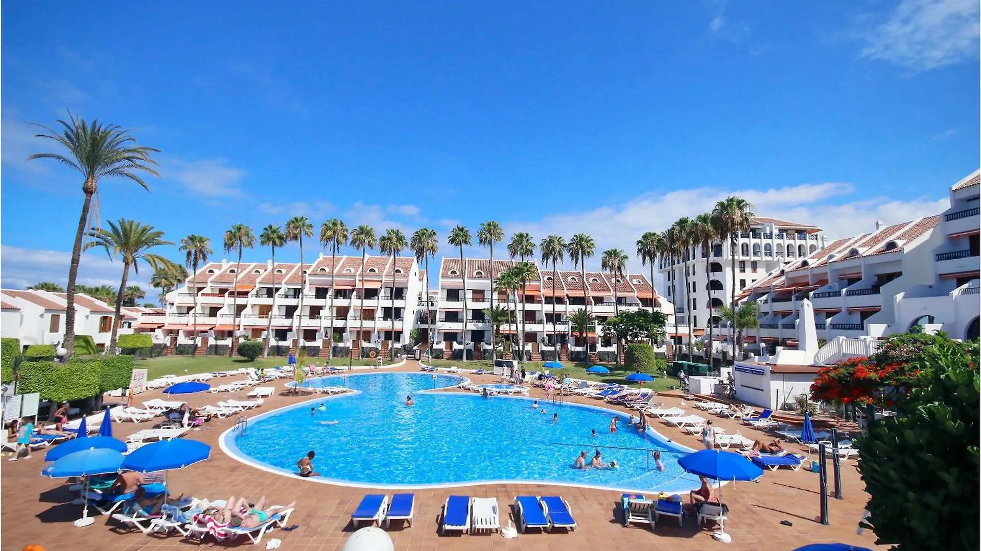 Apartment Parque Santiago II 511 Studio Tenerife Rental And Sales Playa de las Americas  Spain