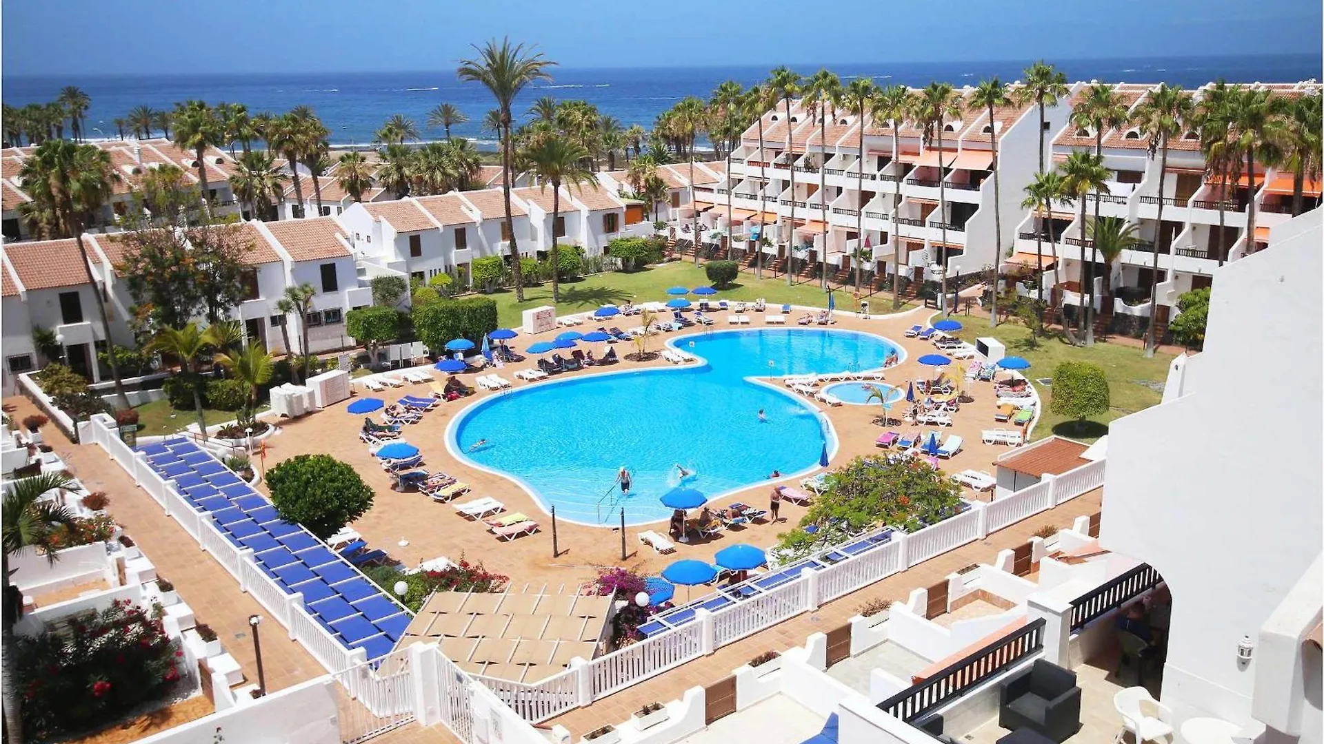 Parque Santiago II 511 Studio Tenerife Rental And Sales Playa de las Americas  Apartment